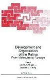 Development and Organization of the Retina