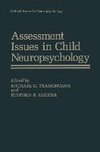 Assessment Issues in Child Neuropsychology