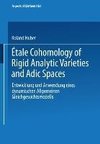 Étale Cohomology of Rigid Analytic Varieties and Adic Spaces