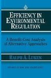 Efficiency in Environmental Regulation