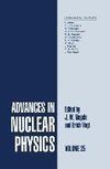 Advances in Nuclear Physics