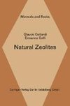 Natural Zeolites