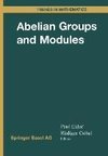 Abelian Groups and Modules