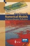 Numerical Models in Groundwater Pollution