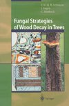 Fungal Strategies of Wood Decay in Trees