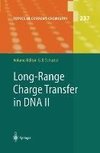 Long-Range Charge Transfer in DNA II