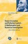 Ocean Circulation and Pollution Control - A Mathematical and Numerical Investigation