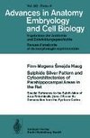 Sulphide Silver Pattern and Cytoarchitectonics of Parahippocampal Areas in the Rat