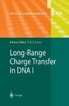 Long-Range Charge Transfer in DNA I