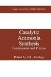 Catalytic Ammonia Synthesis