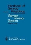 Somatosensory System