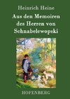 Aus den Memoiren des Herren von Schnabelewopski