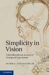 Simplicity in Vision