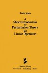 A Short Introduction to Perturbation Theory for Linear Operators