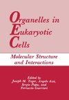 Organelles in Eukaryotic Cells