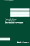 Enriques Surfaces I