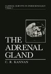 The Adrenal Gland