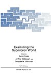 Examining the Submicron World