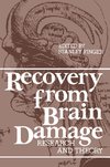 Recovery from Brain Damage