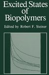 Excited States of Biopolymers