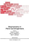 Mechanisms in Fibre Carcinogenesis