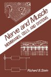 Nerve and Muscle