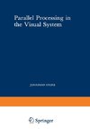 Parallel Processing in the Visual System