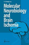 Molecular Biology and Brain Ischemia