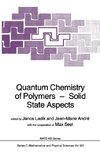 Quantum Chemistry of Polymers - Solid State Aspects