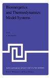 Bioenergetics and Thermodynamics: Model Systems