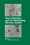 Virus Infections and the Developing Nervous System