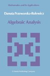 Algebraic Analysis