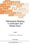 Mathematical Modeling in Combustion and Related Topics