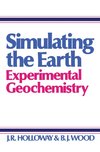 Simulating the Earth