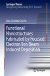 Functional Nanostructures Fabricated by Focused Electron/Ion Beam Induced Deposition