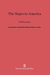 The Negro in America