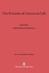 The Promise of American Life