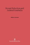 Sexual Selection and Animal Genitalia