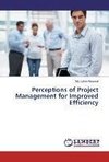 Perceptions of Project Management for Improved Efficiency