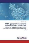 PTEN gene in Cervical and Glioblastoma Cancer Cells