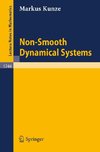 Non-Smooth Dynamical Systems