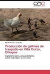 Producción de gallinas de traspatio en Villa Corzo, Chiapas