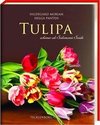 Tulipa