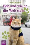 Bob und wie er die Welt sieht