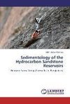 Sedimentology of the Hydrocarbon Sandstone Reservoirs