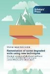 Remediation of some degraded soils using new techniques