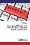 Conceptual Models and Simulation of Computer Worm Propagation