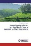 Investigating photo-acclimation in plants exposed to high light stress