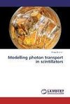 Modelling photon transport in scintillators