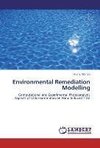 Environmental Remediation Modelling